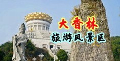 欧美性爱视频网址中国浙江-绍兴大香林旅游风景区
